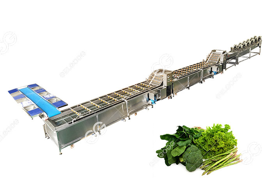 China CER bestätigte Edelstahl-Handelsgemüsewaschmaschinen-Reinigungs-Linie Gemüse-Verarbeitungsanlage fournisseur