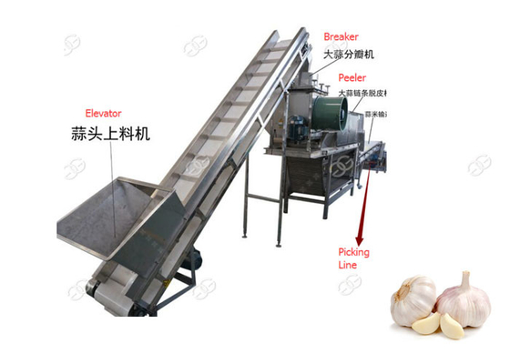 China Automatische Knoblauch-Schalen-Linie, Knoblauch-Trennen und Schälmaschine fournisseur