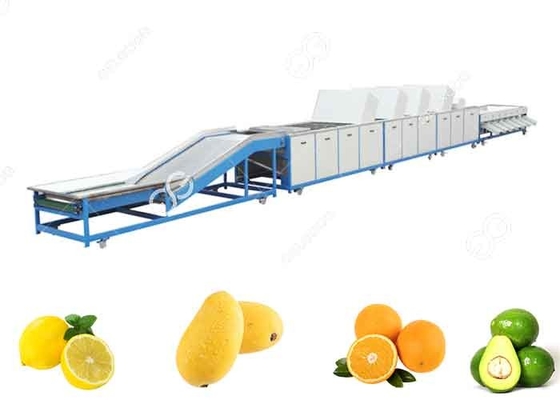 China Ausrüstungs-Frucht-Reinigungs-Linie der Frucht-1t/H-5t/H waschende für Frucht-Export-Verkäufe fournisseur