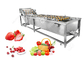 Blasen-Art Ozon-Gemüsewaschmaschinen-Erdbeerkirschfrucht-waschende Ausrüstung fournisseur
