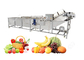 Blasen-Art Ozon-Gemüsewaschmaschinen-Erdbeerkirschfrucht-waschende Ausrüstung fournisseur
