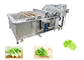Blattgemüse-Waschmaschinen-Obst- und GemüseVerarbeitungs-Ausrüstung ohne Damanage fournisseur