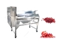 Automatische Granatapfel-Schale und Extraktions-Maschine, Granatapfel-Prozessmaschine fournisseur