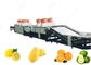 Ausrüstungs-Frucht-Reinigungs-Linie der Frucht-1t/H-5t/H waschende für Frucht-Export-Verkäufe fournisseur