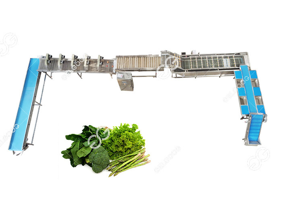China CER bestätigte Edelstahl-automatische Blattgemüse-waschende Linie Gemüse-Verarbeitungsanlage fournisseur