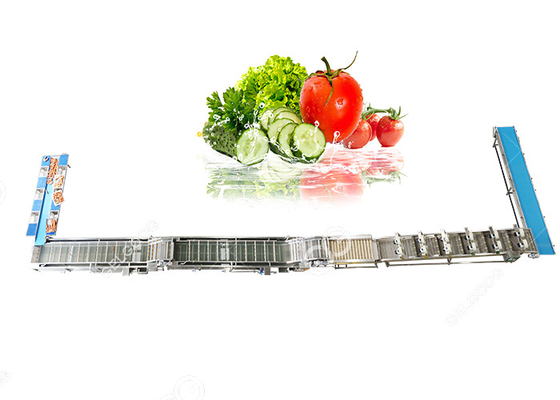China Automatische Obst- und GemüseWaschmaschinen-Obst- und Gemüsewaschende Verarbeitungs-Ausrüstung fournisseur