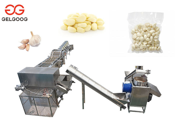 CER bestätigte den Handelsknoblauch, der Verpackenfertigungsstraße-Knoblauch-Peeler-Maschinen-Projekt abziehend sich trennt fournisseur