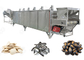 Automatische Nüsse, die Maschine für Sonnenblumen-Kürbis-und Wassermelonen-Samen, 300-1000 kg/h braten fournisseur