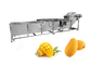 Sterilisations-und Desinfektions-Mango-Waschmaschinen-Frucht-Waschmaschinen-Fabrik fournisseur