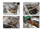 Kundengerechte Kelp-Meerespflanzen-Reinigungs-Schneidemaschine für Verarbeitungsanlage des Verkaufs-Kelps fournisseur