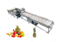 Große Ertrag-Ananas-Reinigungsmaschinen-Obstverarbeitung Equipment2T/H fournisseur