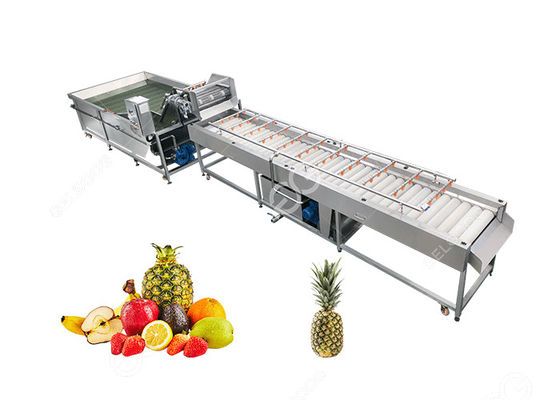 Große Ertrag-Ananas-Reinigungsmaschinen-Obstverarbeitung Equipment2T/H